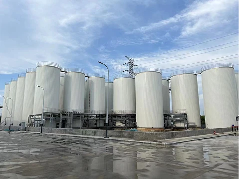 B&iacute; ẩn của một giọt mỡ b&ograve;