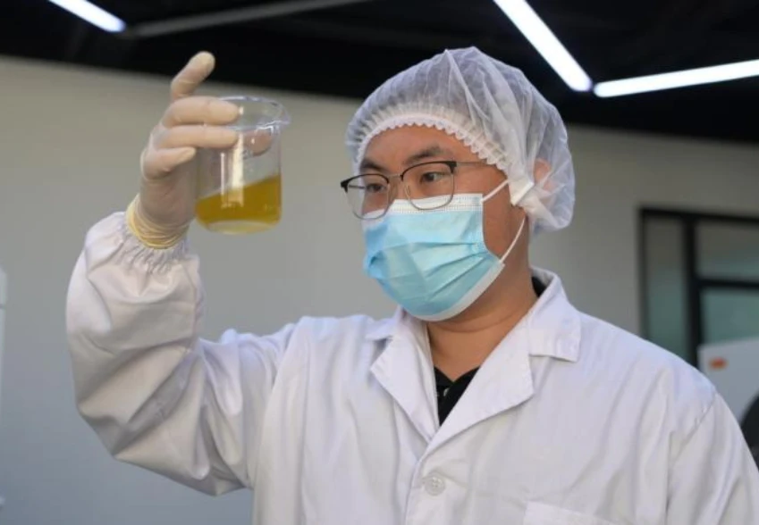 Ph&ograve;ng Nghi&ecirc;n cứu v&agrave; Ph&aacute;t triển (R&D)